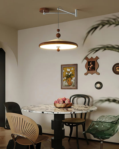 Adjustable Arm Pendant Light With Integrated LED For Focus